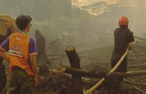 Bencana Melanda Tiga Provinsi dalam 24 Jam: BNPB Catat Banjir Poso, Karhutla Barito Kuala, dan Cuaca Ekstrem Deli Serdang