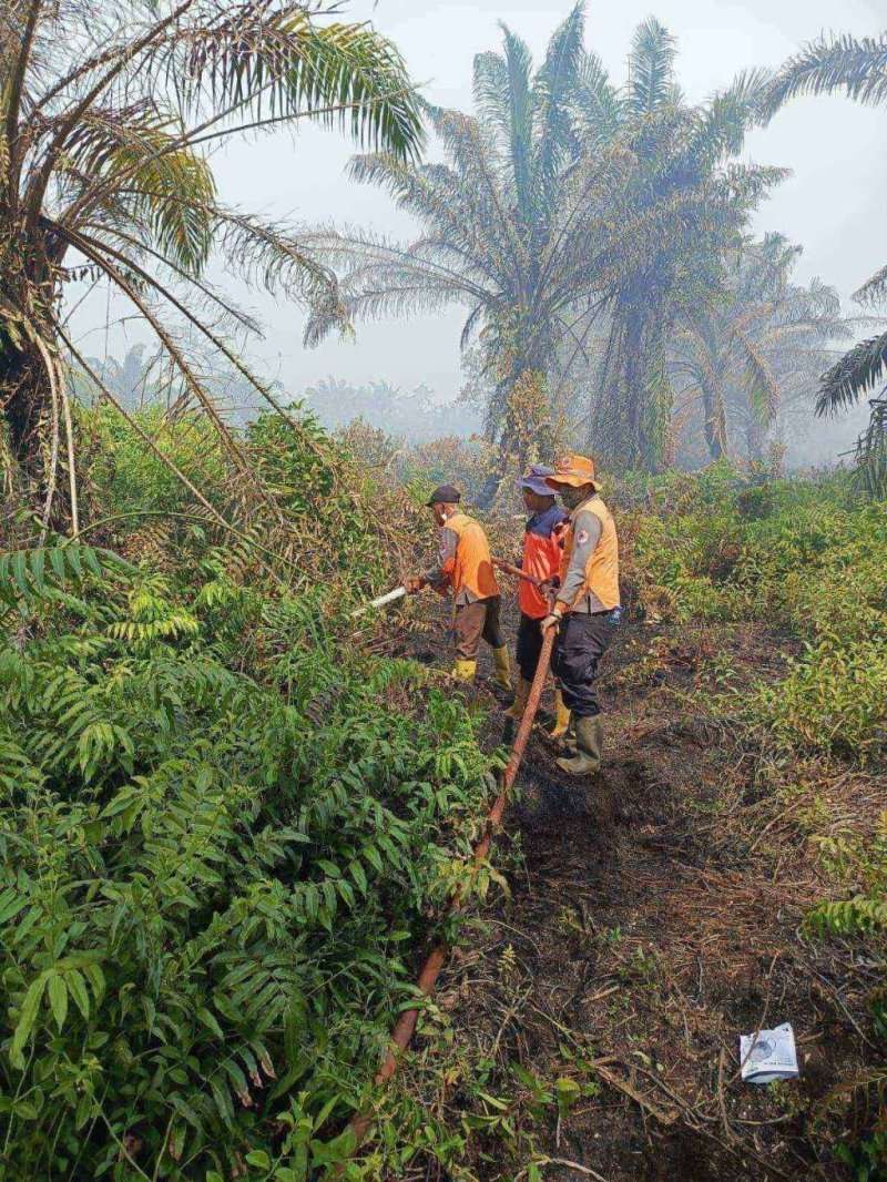 Tim pemadam kebakaran menyemprotkan air ke lahan terbakar di Mamuju