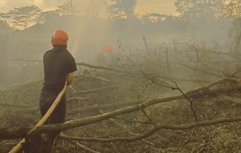 Petugas memadamkan kebakaran hutan dan lahan di Desa Sungai Raya, Kecamatan Cerbon, Kabupaten Barito Kuala, Provinsi Kalimantan Selatan, Jumat (29/5). Sumber: BPBD Kabupaten Barito Kuala.