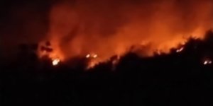 Kronologi Gunung Geulis Dilanda Karhutla: Api Dilaporkan dengan Cepat Hanguskan Ladang Warga