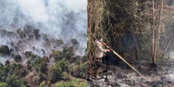 Telisik Kasus Karhutla  yang Landa Riau, Picu Dugaan Kesengajaan Oknum untuk Buka Lahan Hortikultura