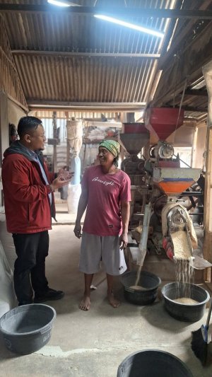 Dari Penggilingan Padi ke Perdagangan Beras: Perjalanan UMKM Jenggolo Bersama BRI